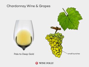 Rượu vang Chardonnay (mục lục)