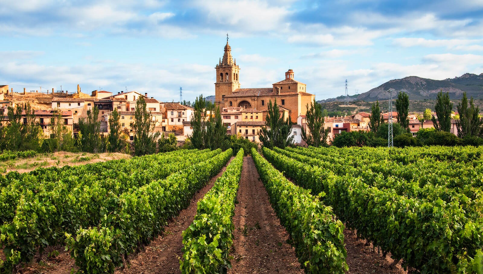 Rượu Vang Tây Ban Nha