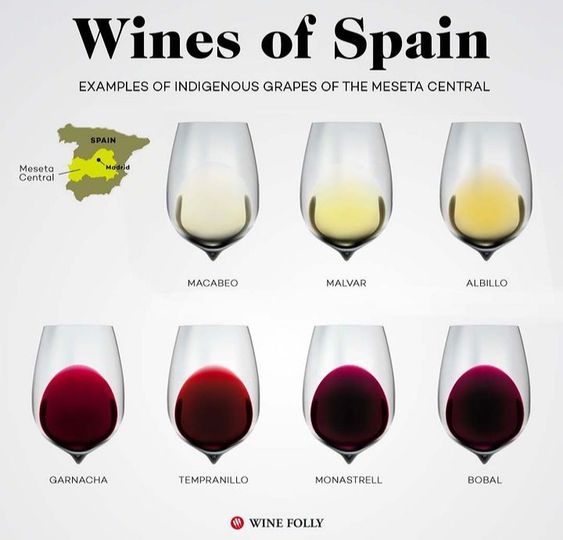 Wines Of Spain