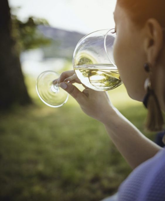 Nho Sauvignon Blanc 8 Nho rượu vang trắng Sauvignon Blanc