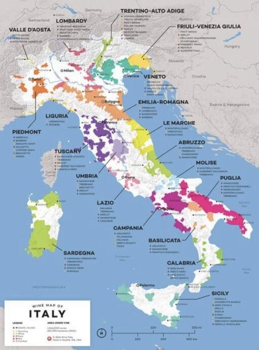  Phân Loại Rượu Vang