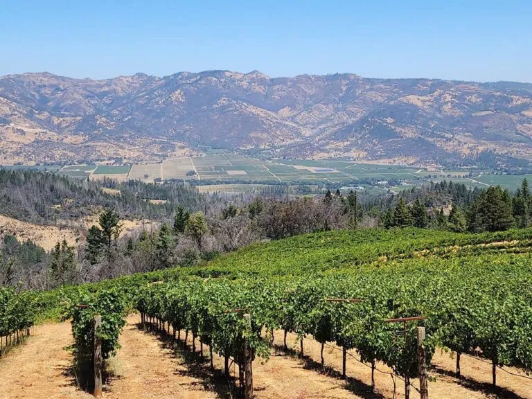 Các Vùng Rượu Vang Trọng Điểm Của Thế Giới