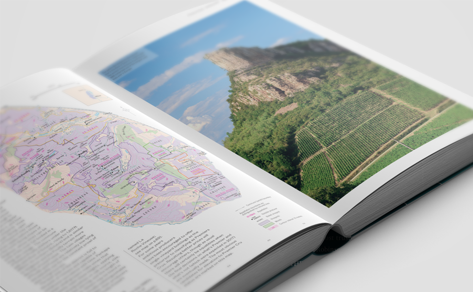 Các Nguồn Thông Tin Uy Tín Về Rượu Vang